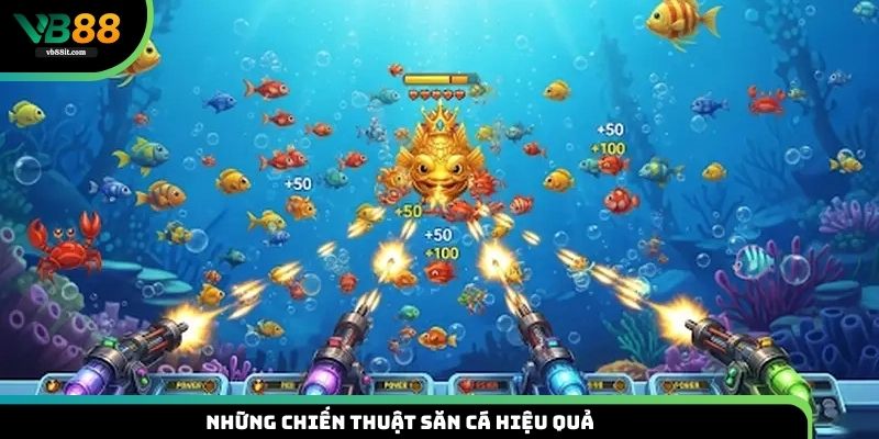 Những chiến thuật săn cá hiệu quả mà ít cao thủ chia sẻ